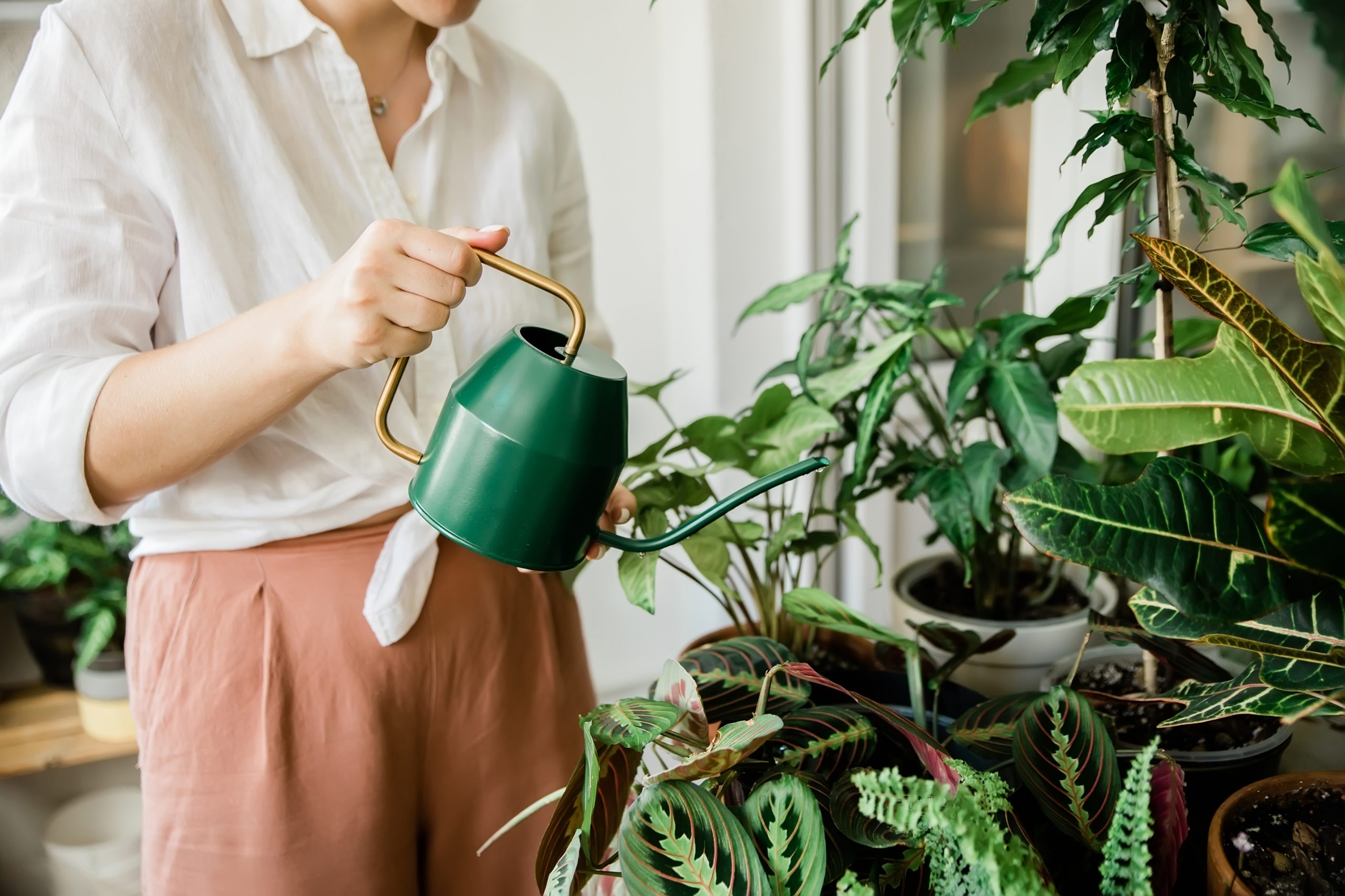 Pflanzen fürs Bad: Frau gießt Pflanzen mit einer Gießkanne